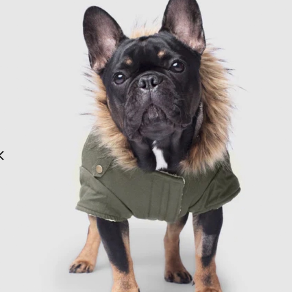 Canada Pooch Alaskan Army Parka in Army Green (Size 12)